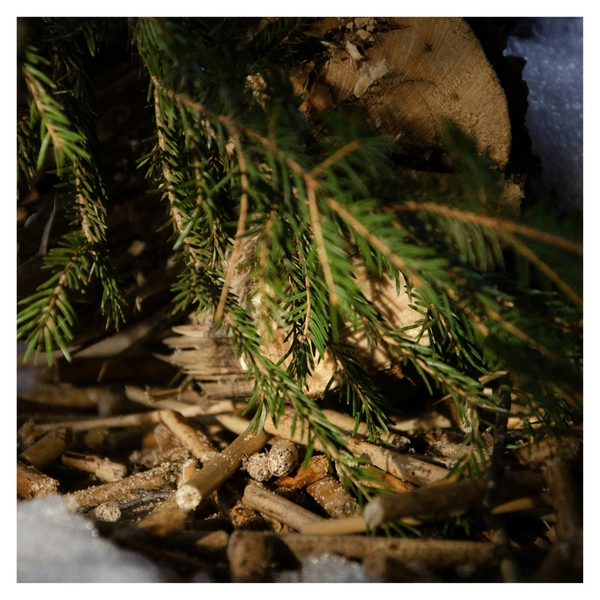 The History and Evolution of Sauna Therapy-2.png