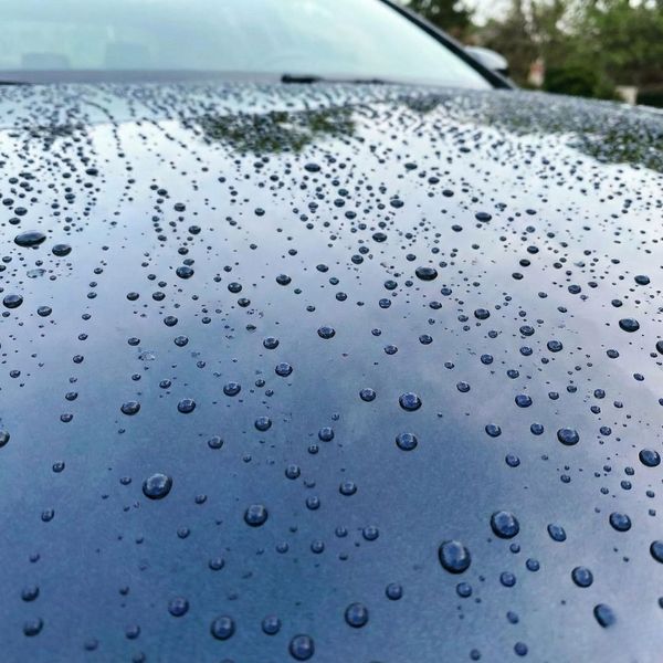 Water forms tight beads on the glossy, hydrophobic surface of a ceramic-coated car.