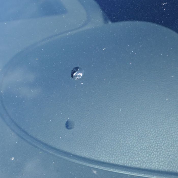 chipped windshield 