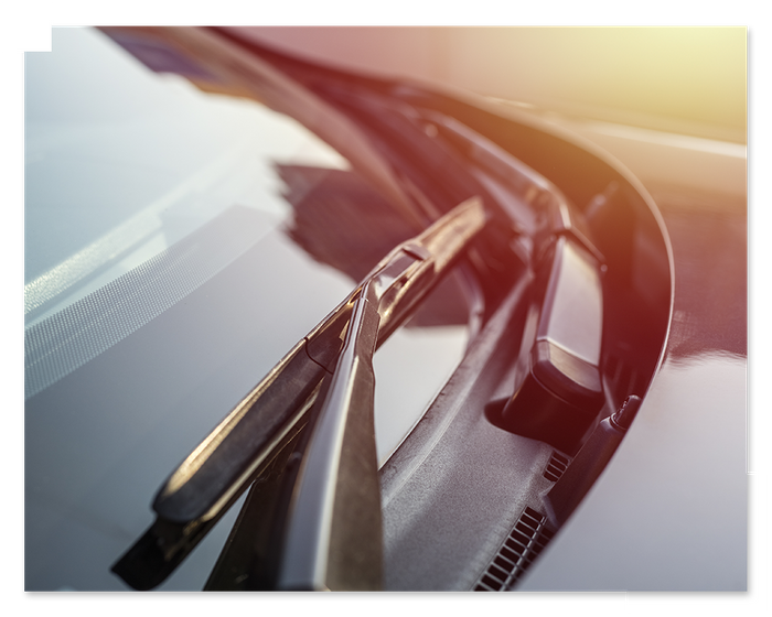 technician repairing windshield