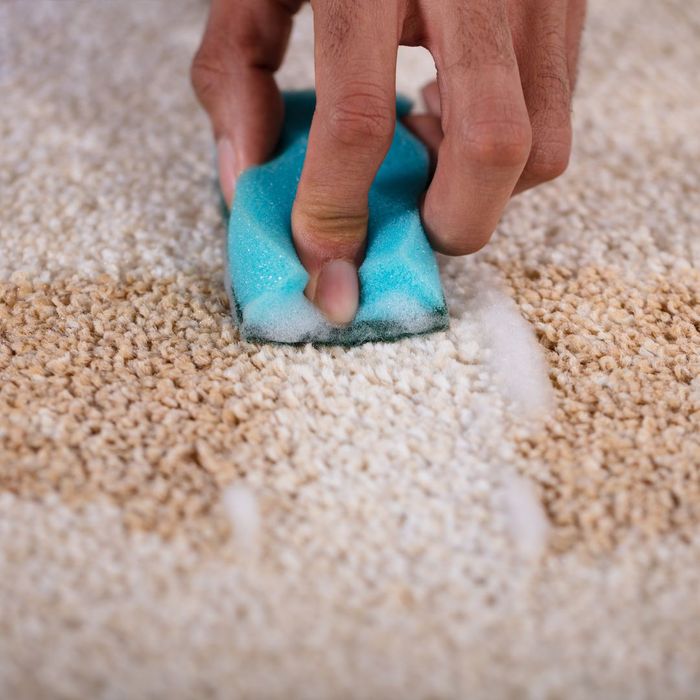 blood stain being removed from carpet 