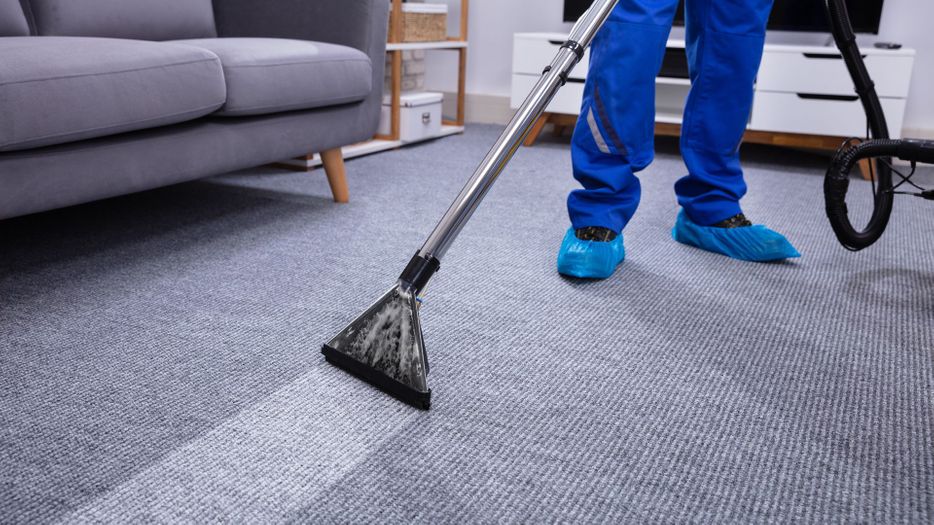 person cleaning a carpet