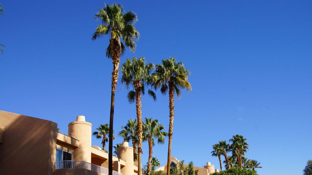 A beautiful condo with palm trees Beginners Guide to Timeshare Hero.jpg