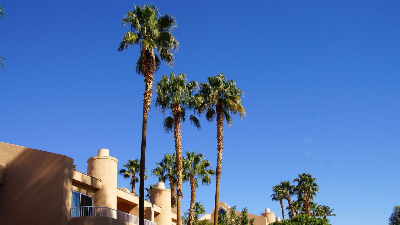 A beautiful condo with palm trees Beginners Guide to Timeshare Hero.jpg