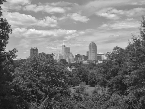 downtown-raleigh-north-carolina-as-seen-from-the-dorthea-dix-park-slope_t20_NQ9J0Q.jpg
