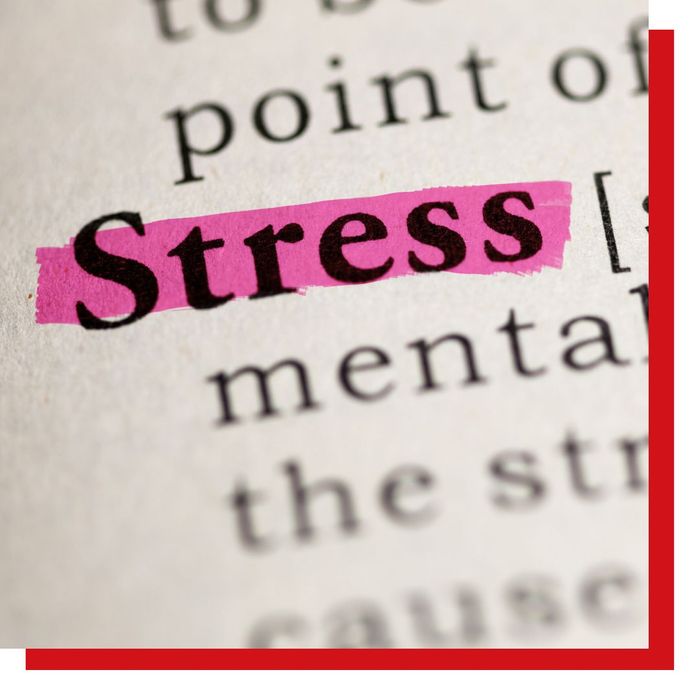 word "stress" highlighted