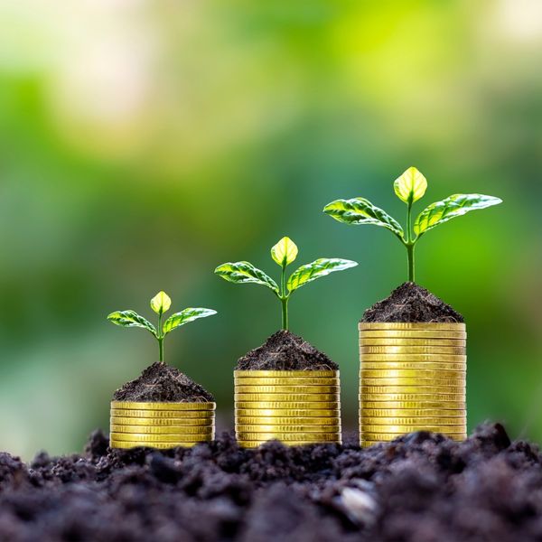 Wealth Growth Wealth Growth