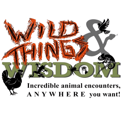 Wild Things & Wisdom Inc.