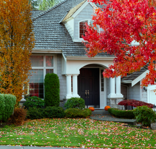 Screenshot 2026-02-26 230908.png