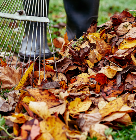 Screenshot 2026-02-26 230829.png