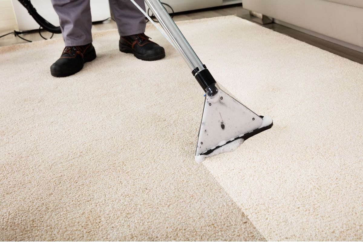 image of beige carpet being cleaned