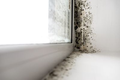 Mold In Window Sill