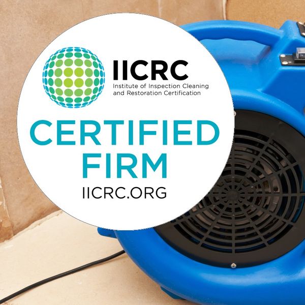 iicrc certified wrt.jpg