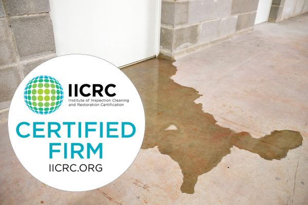 iicrc certified.jpg