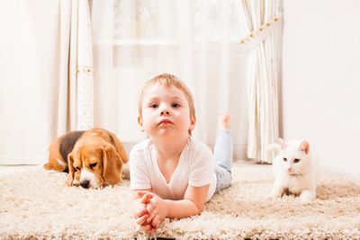 kids and pets