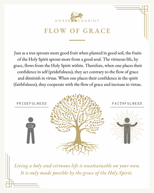 Flow of grace - visual.png