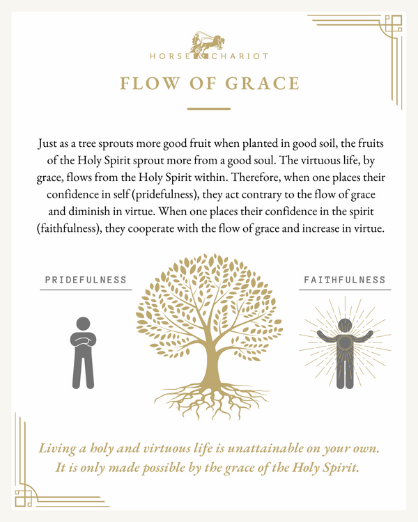 Flow of grace - visual.png