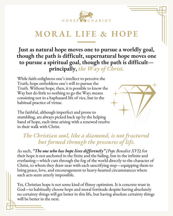 Moral Life and Hope - Visual Resource.png