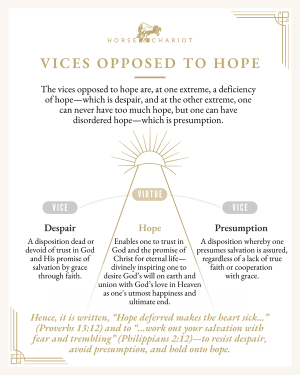 Vices Opposed to Hope - Visual Resource.png