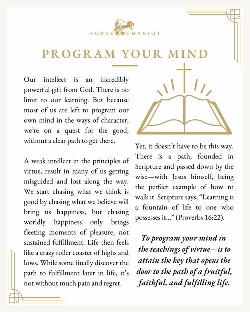 program your mind - visual.png