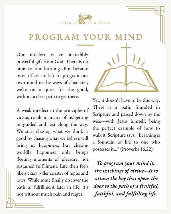 program your mind - visual.png