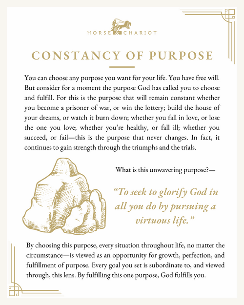 constancy of purpose - visual.png