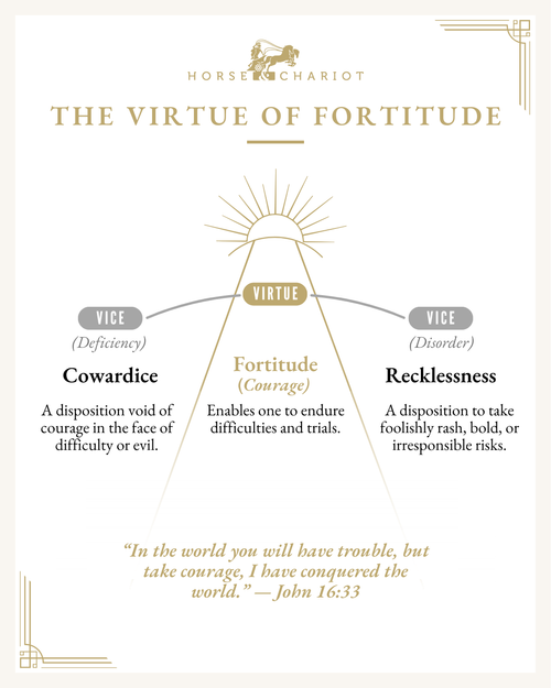 The Virtue of Fortitude - Visual Resource.png