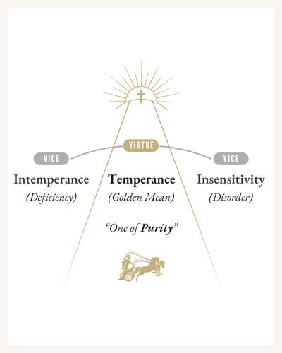 The Virtue of Temperance - Opposing Vices