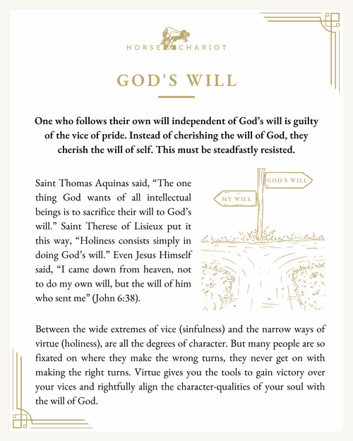 gods will - visual.png