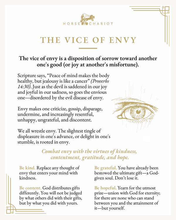 the vice of envy - visual resource.png