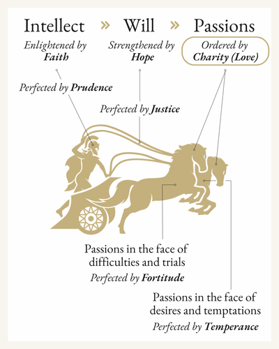 The Virtue of Charity - Ordered Passions by Love.png
