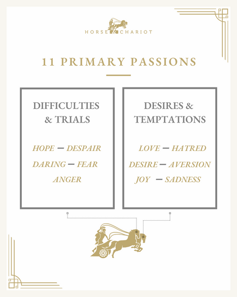 11 primary passions - visual.png