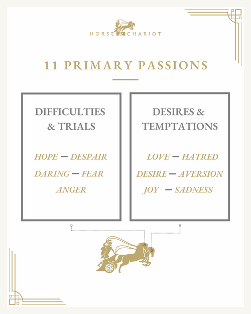 11 primary passions - visual.png