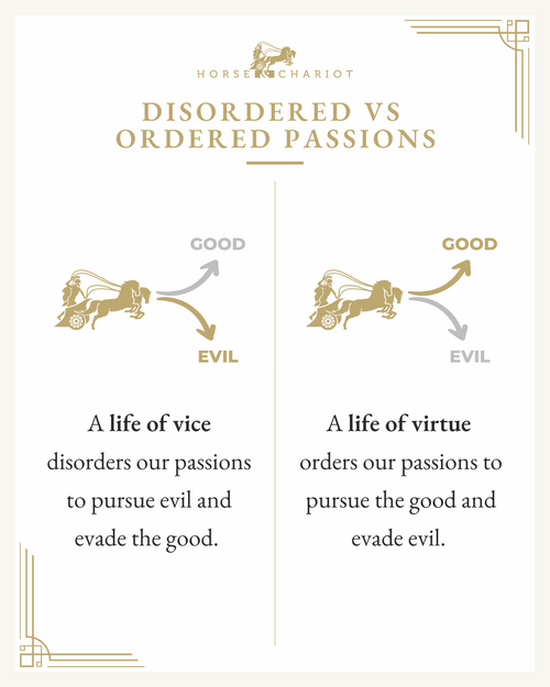 Disordered Passions - Visual Resource.png