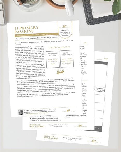 11 Primary Passions - Lesson Plan Image.png