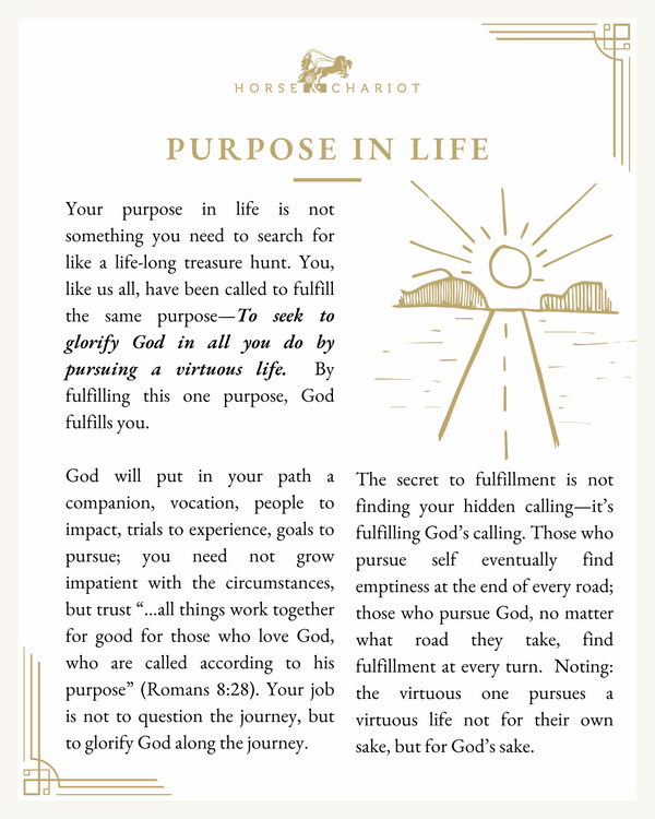purpose in life - visual.png