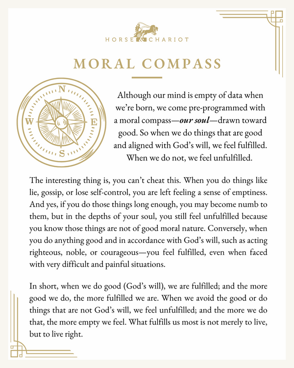 moral compass - visual.png