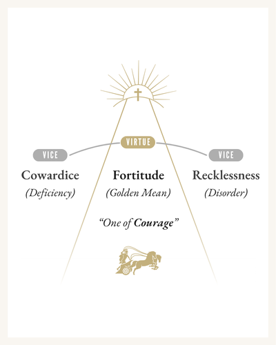 The Virtue of Fortitude - Opposing Vices