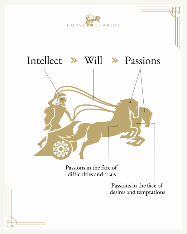 intellect will passions - visual.png