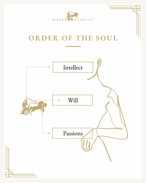 Order of the soul - visual.png