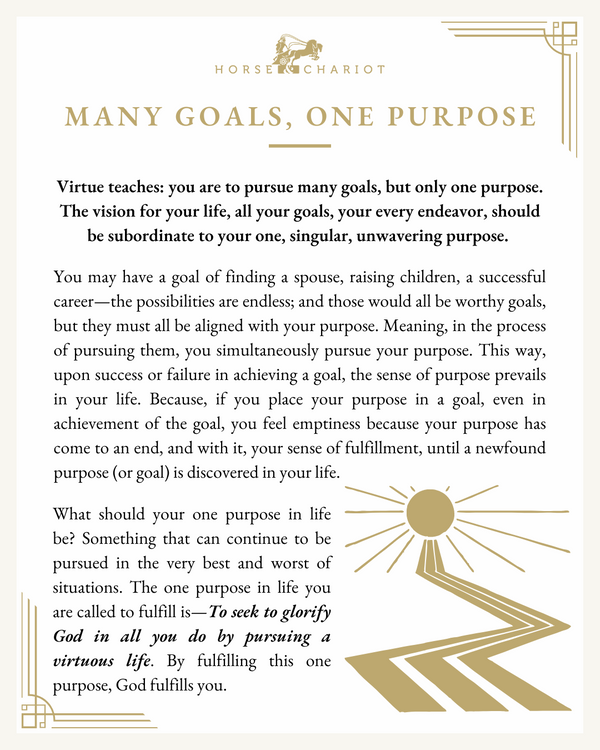 many goals, one purpose - visual.png