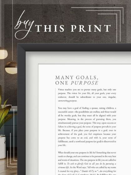 many goals one purpose - buy the print.jpg