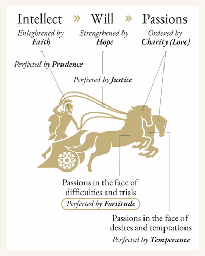 The Virtue of Fortitude - Perfects passions in the face of difficulties and trials