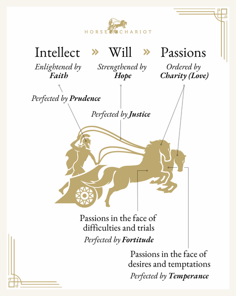 Correlation to the VIrtues - Visual Resource.png