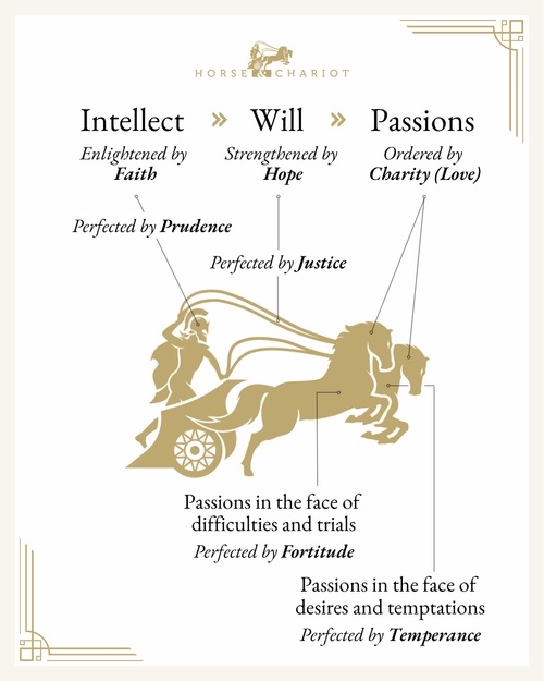 Correlation to the VIrtues - Visual Resource.png