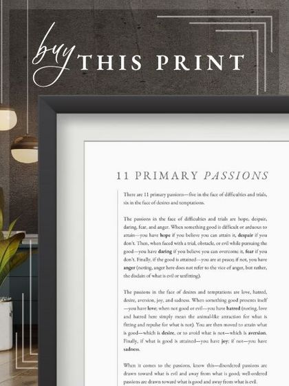 11 primary passions - buy this print.jpg