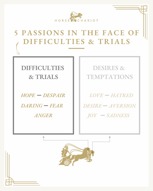 difficulties and trial passions - visual.png
