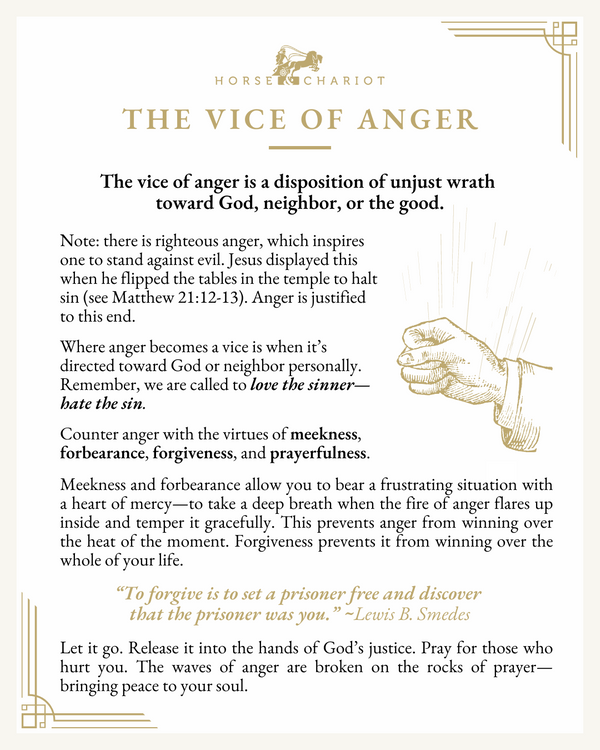 the vice of anger - visual.png