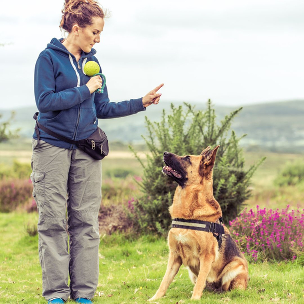 dog trainer