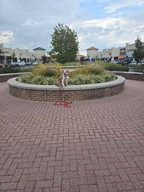 IMG_20250906_090054.jpg